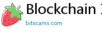 Blockchain Information